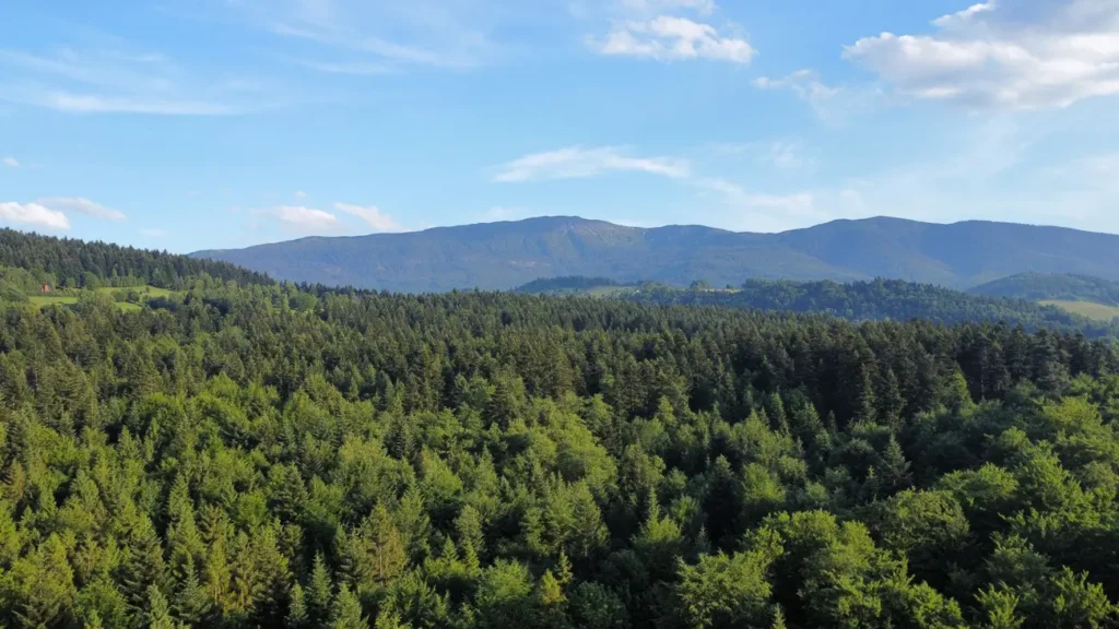 Babia Góra widok