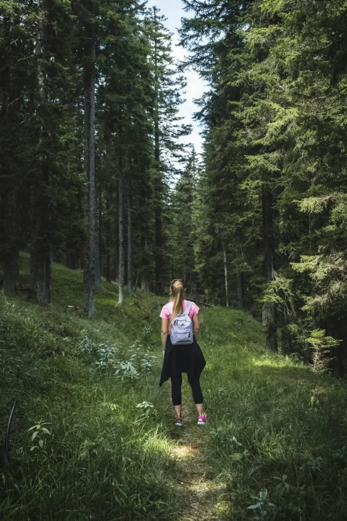 Hiking vs trekking spacer