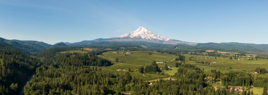 Mount Hood panorama