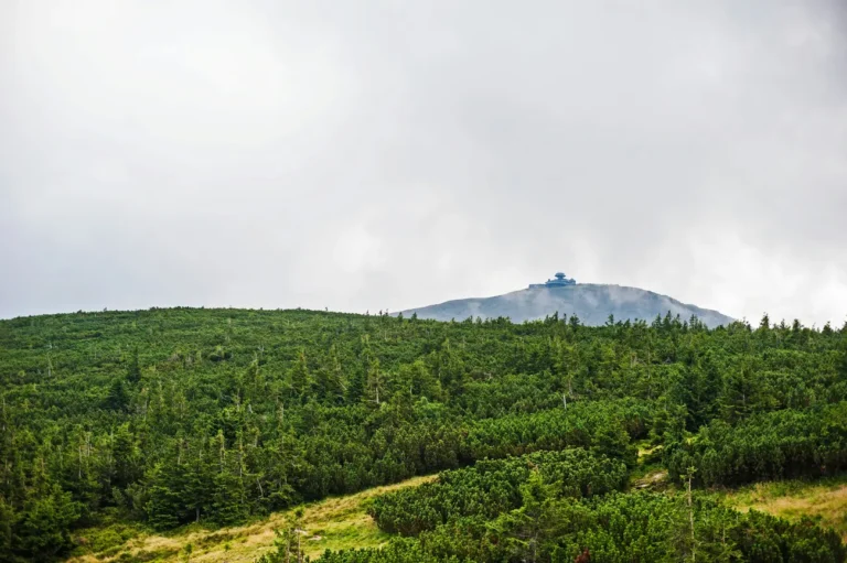 Śnieżka