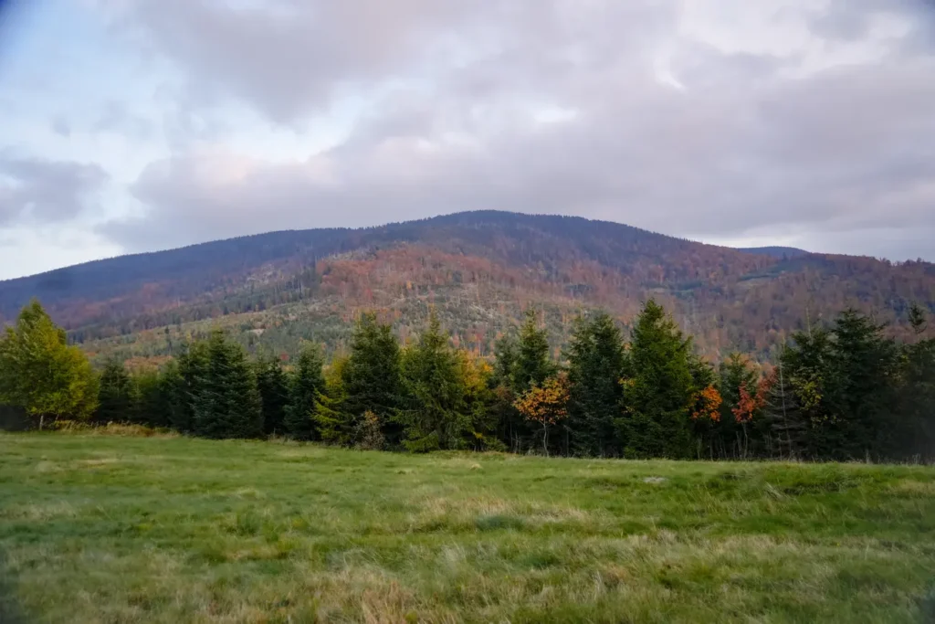widok na romankę