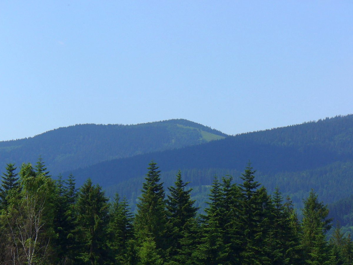 wielka rycerzowa