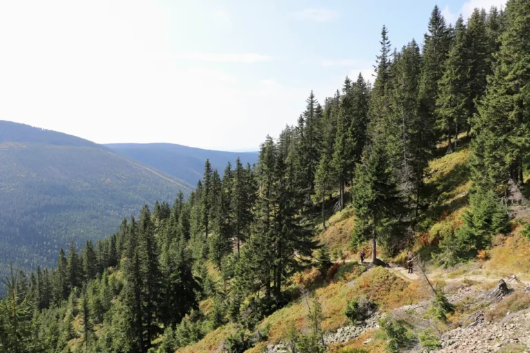 Czeskie Karkonosze