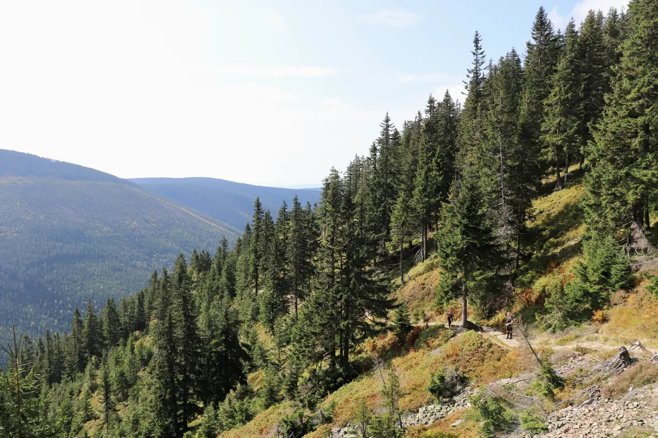 Czeskie Karkonosze