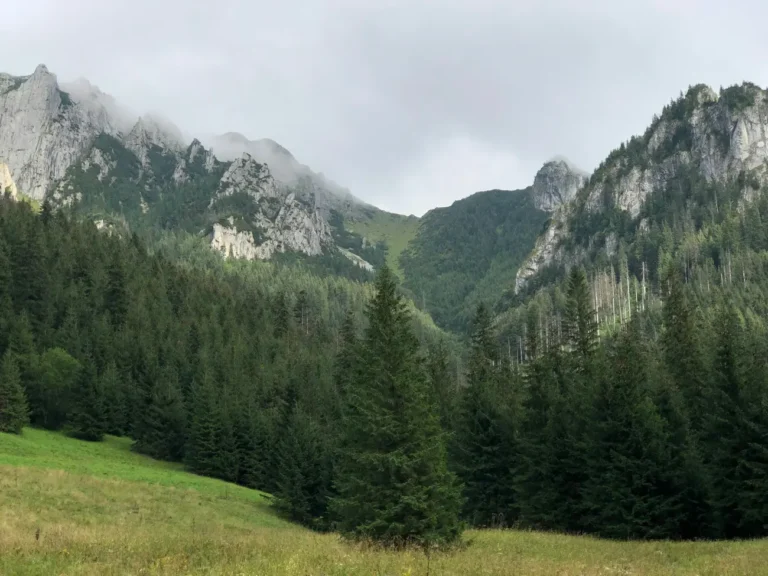 Dolina Małej Łąki