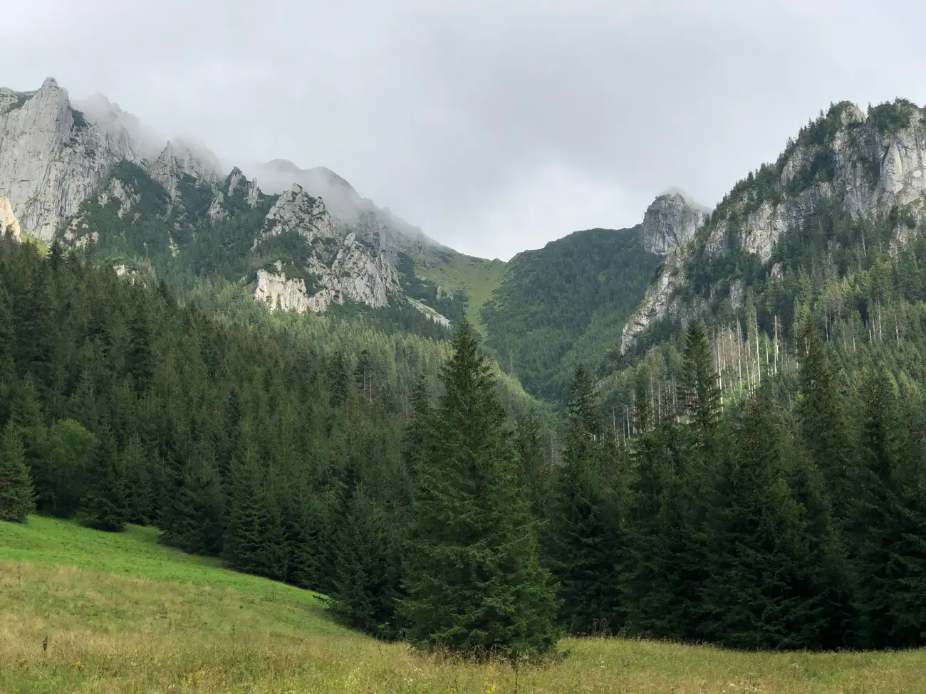 Dolina Małej Łąki