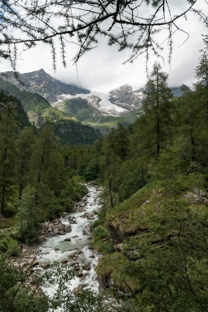 Monte Rosa droga