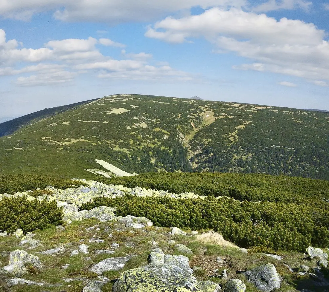 Smogornia