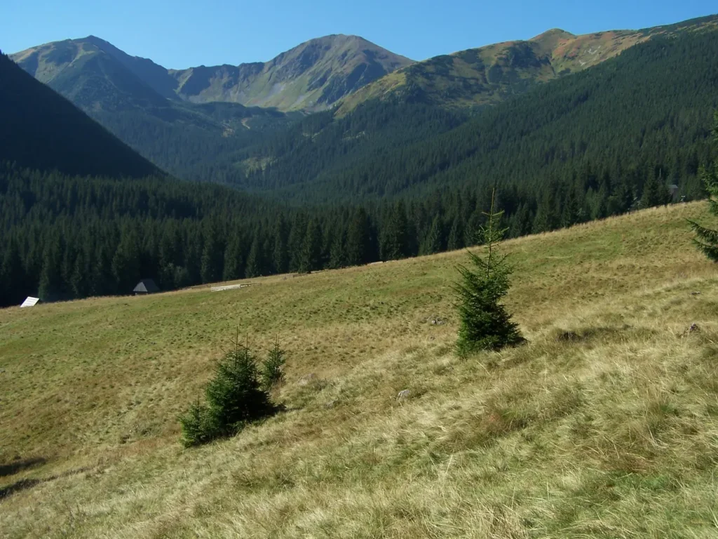 Dolina Chocholowska a7