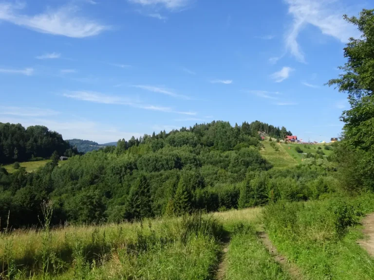 Palenica – szczyt Pienin. Szlaki turystyczne, atrakcje, ośrodek narciarski