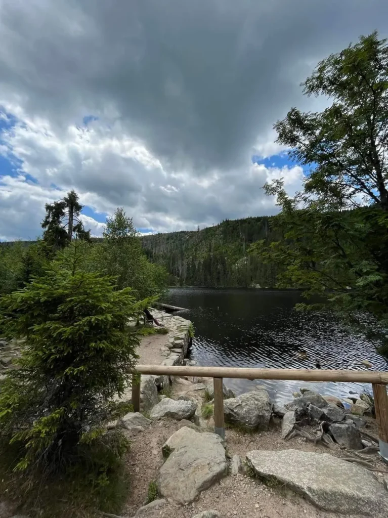 SUMAVA Received 752124512665966