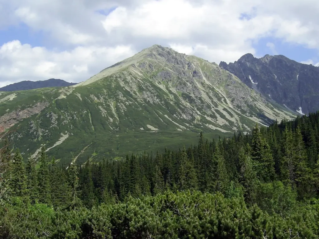 Zolta Turnia i Granaty