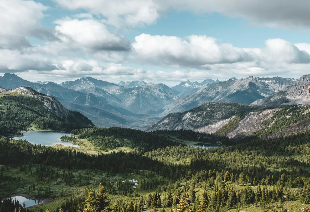 alex gorey LXsChQXNqWE unsplash
