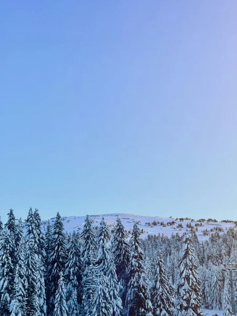 hristina marjanovic iFTnMxPxSpU unsplash