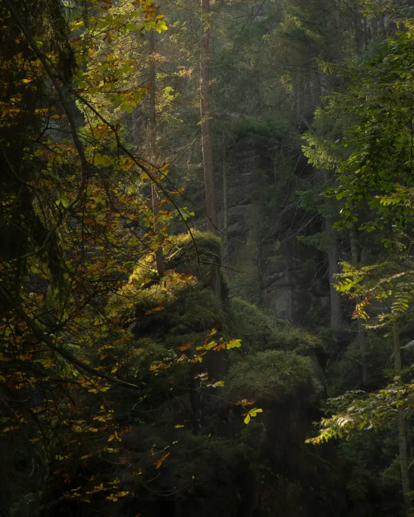hubert buratynski XGJySteJ7Ck unsplash