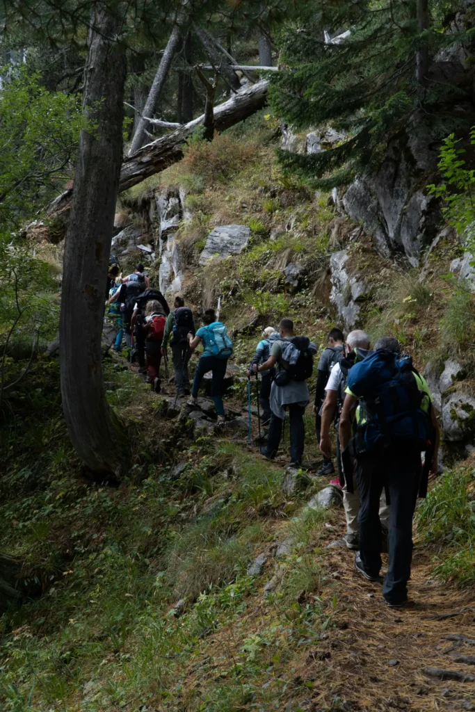 Pirin